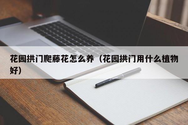 花园拱门爬藤花怎么养（花园拱门用什么植物好）
