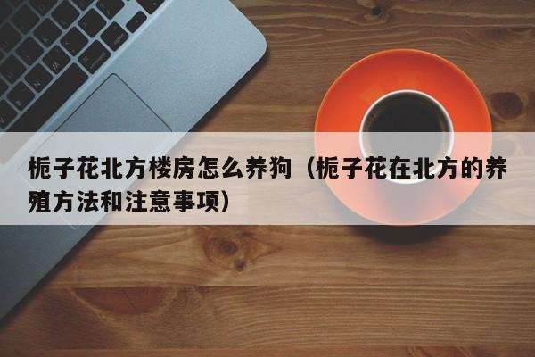 栀子花北方楼房怎么养狗（栀子花在北方的养殖方法和注意事项）