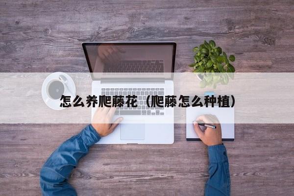 怎么养爬藤花（爬藤怎么种植）