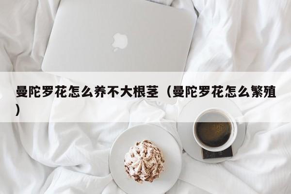 曼陀罗花怎么养不大根茎（曼陀罗花怎么繁殖）