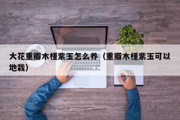 大花重瓣木槿紫玉怎么养（重瓣木槿紫玉可以地栽）