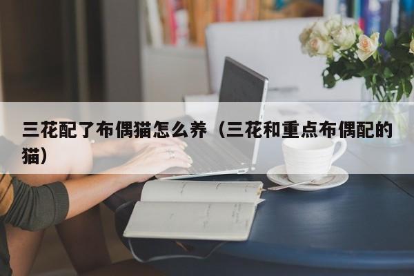三花配了布偶猫怎么养（三花和重点布偶配的猫）