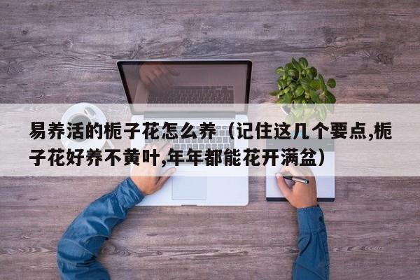 易养活的栀子花怎么养（记住这几个要点,栀子花好养不黄叶,年年都能花开满盆）