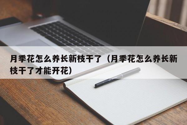 月季花怎么养长新枝干了（月季花怎么养长新枝干了才能开花）
