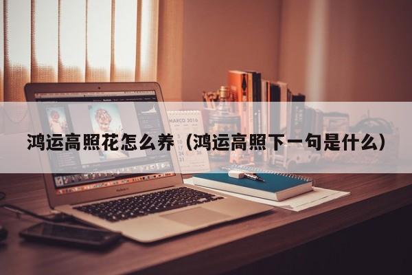 鸿运高照花怎么养（鸿运高照下一句是什么）