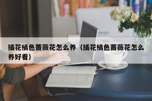 插花橘色蔷薇花怎么养（插花橘色蔷薇花怎么养好看）