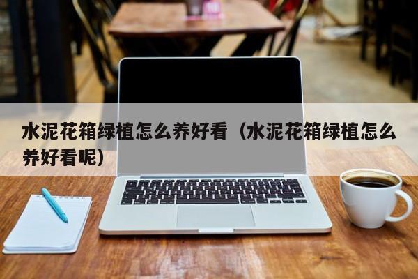 水泥花箱绿植怎么养好看（水泥花箱绿植怎么养好看呢）