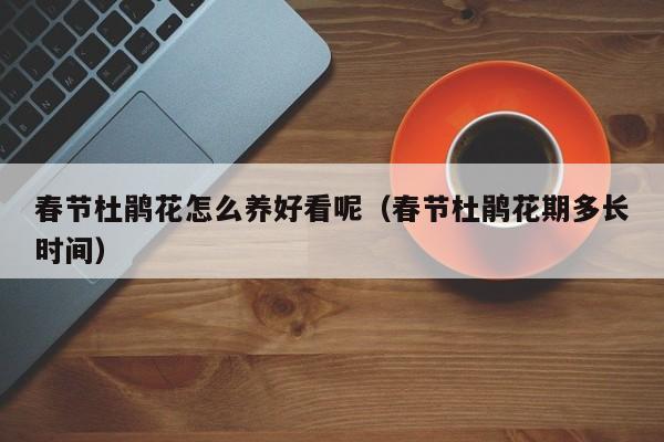 春节杜鹃花怎么养好看呢（春节杜鹃花期多长时间）