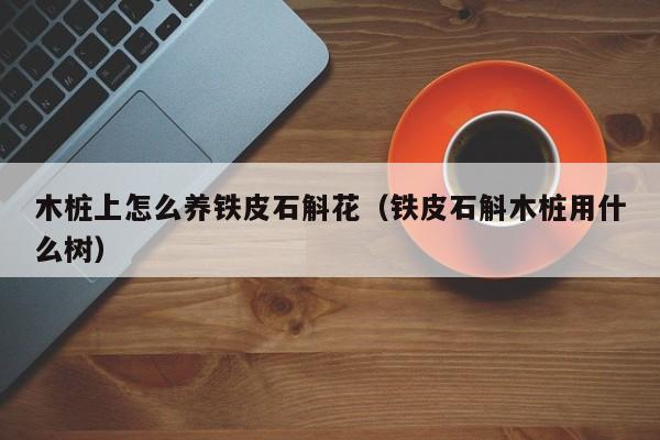 木桩上怎么养铁皮石斛花（铁皮石斛木桩用什么树）