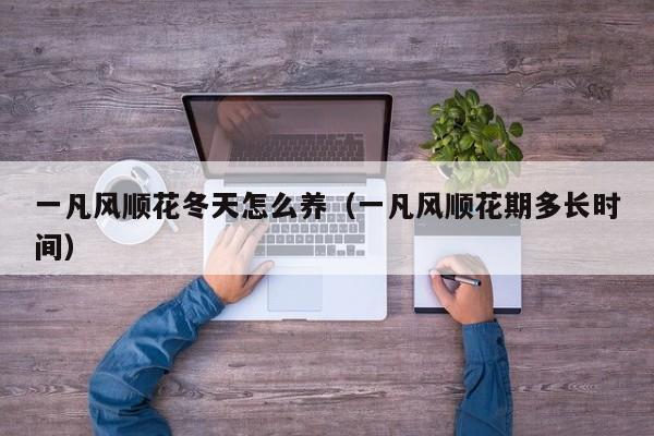 一凡风顺花冬天怎么养（一凡风顺花期多长时间）