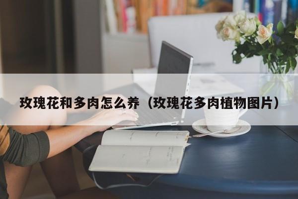 玫瑰花和多肉怎么养（玫瑰花多肉植物图片）