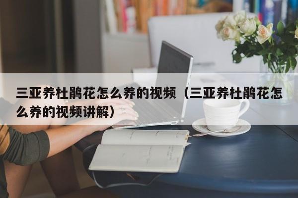 三亚养杜鹃花怎么养的视频（三亚养杜鹃花怎么养的视频讲解）
