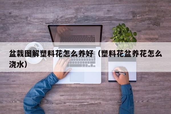 盆栽图解塑料花怎么养好（塑料花盆养花怎么浇水）