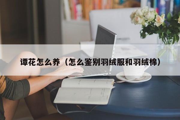 谭花怎么养（怎么鉴别羽绒服和羽绒棉）