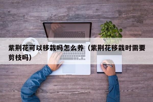 紫荆花可以移栽吗怎么养（紫荆花移栽时需要剪枝吗）