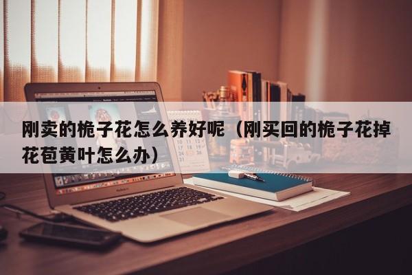 刚卖的桅子花怎么养好呢（刚买回的桅子花掉花苞黄叶怎么办）