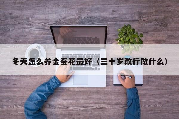 冬天怎么养金蚕花最好（三十岁改行做什么）