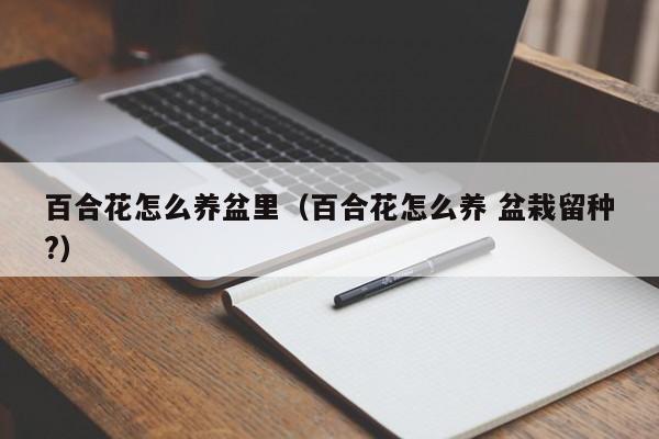 百合花怎么养盆里（百合花怎么养 盆栽留种?）