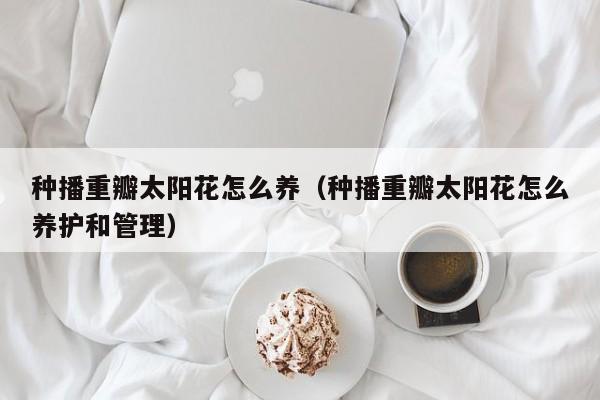 种播重瓣太阳花怎么养（种播重瓣太阳花怎么养护和管理）