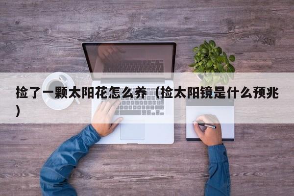 捡了一颗太阳花怎么养（捡太阳镜是什么预兆）