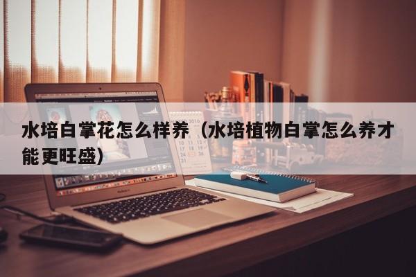 水培白掌花怎么样养（水培植物白掌怎么养才能更旺盛）