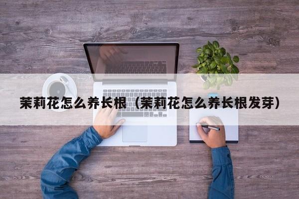 茉莉花怎么养长根（茉莉花怎么养长根发芽）