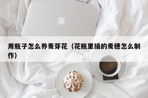 用瓶子怎么养麦芽花（花瓶里插的麦穗怎么制作）