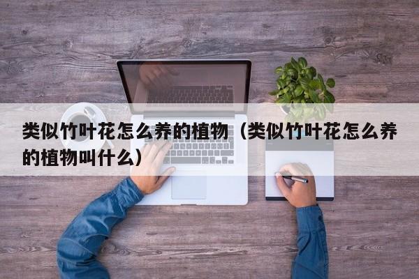 类似竹叶花怎么养的植物（类似竹叶花怎么养的植物叫什么）