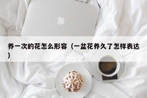 养一次的花怎么形容（一盆花养久了怎样表达）