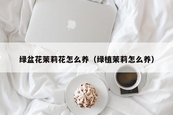 绿盆花茉莉花怎么养（绿植茉莉怎么养）