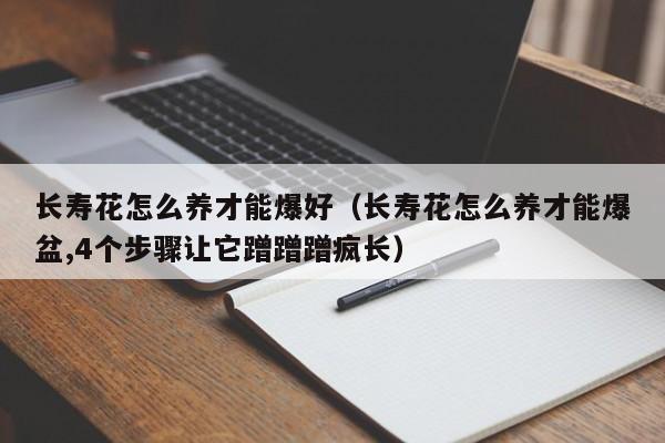 长寿花怎么养才能爆好（长寿花怎么养才能爆盆,4个步骤让它蹭蹭蹭疯长）
