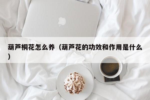 葫芦桐花怎么养（葫芦花的功效和作用是什么）