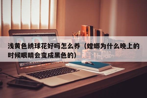 浅黄色绣球花好吗怎么养（螳螂为什么晚上的时候眼睛会变成黑色的）