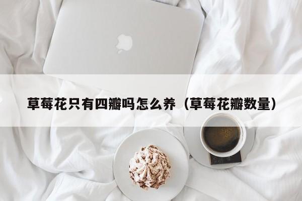 草莓花只有四瓣吗怎么养（草莓花瓣数量）