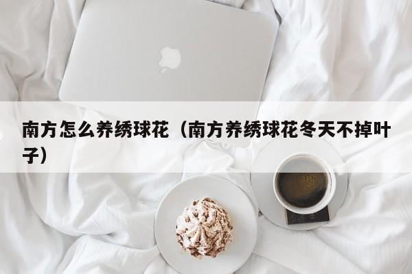 南方怎么养绣球花（南方养绣球花冬天不掉叶子）