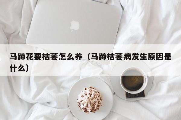 马蹄花要枯萎怎么养（马蹄枯萎病发生原因是什么）