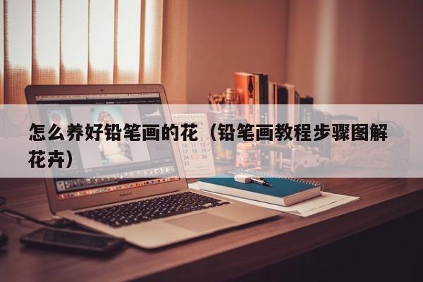 怎么养好铅笔画的花（铅笔画教程步骤图解 花卉）