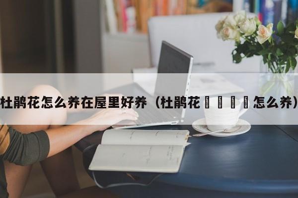 杜鹃花怎么养在屋里好养（杜鹃花🌸怎么养）