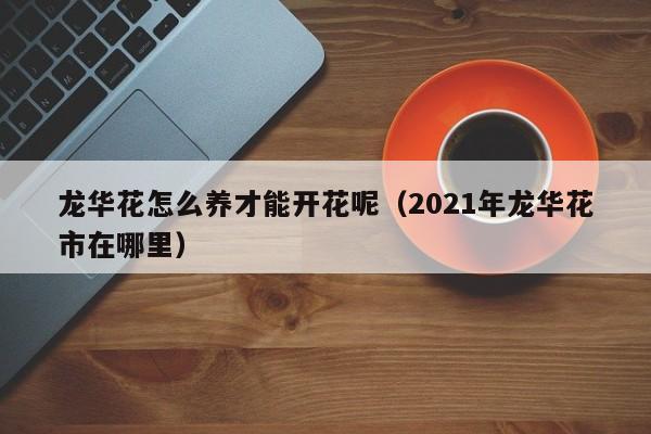 龙华花怎么养才能开花呢（2021年龙华花市在哪里）