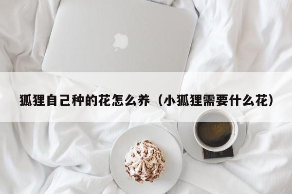 狐狸自己种的花怎么养（小狐狸需要什么花）