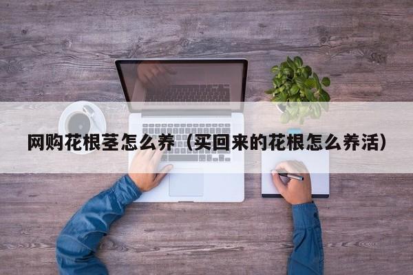 网购花根茎怎么养（买回来的花根怎么养活）