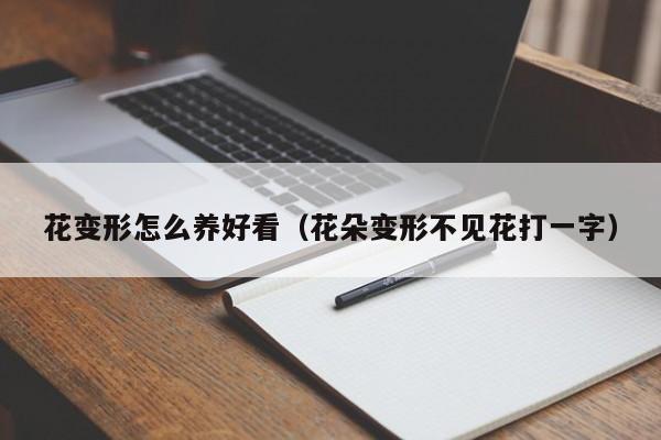 花变形怎么养好看（花朵变形不见花打一字）