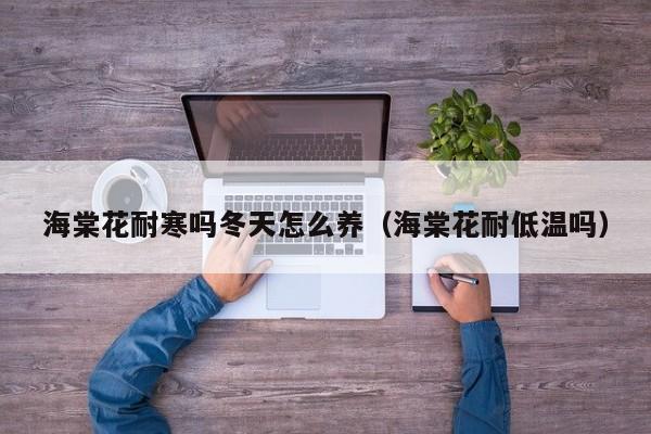 海棠花耐寒吗冬天怎么养（海棠花耐低温吗）