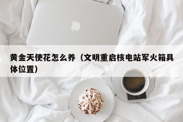 黄金天使花怎么养（文明重启核电站军火箱具体位置）