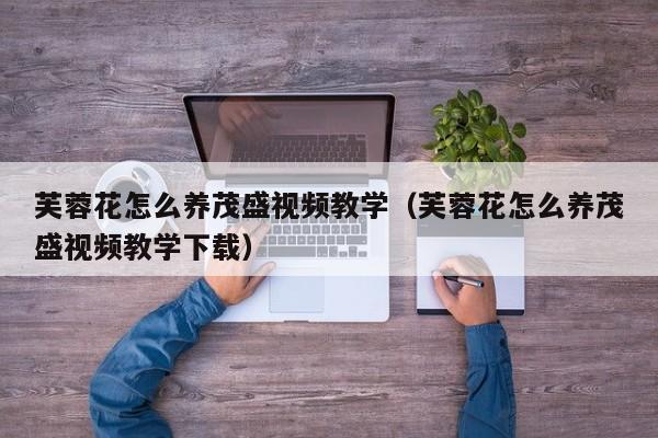 芙蓉花怎么养茂盛视频教学（芙蓉花怎么养茂盛视频教学下载）