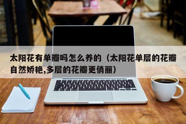 太阳花有单瓣吗怎么养的（太阳花单层的花瓣自然娇艳,多层的花瓣更俏丽）