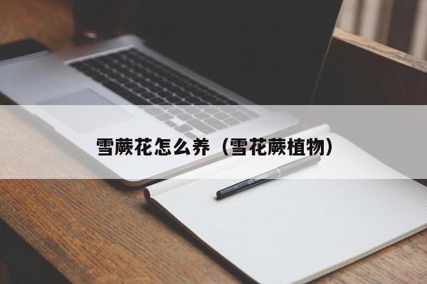 雪蕨花怎么养（雪花蕨植物）