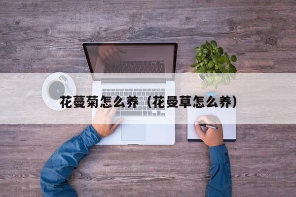花蔓菊怎么养（花曼草怎么养）