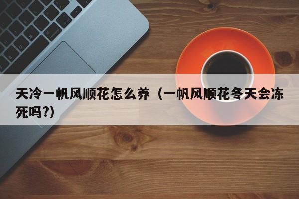 天冷一帆风顺花怎么养（一帆风顺花冬天会冻死吗?）