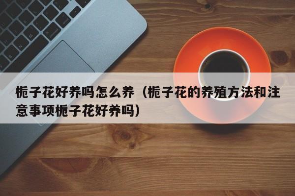 栀子花好养吗怎么养（栀子花的养殖方法和注意事项栀子花好养吗）